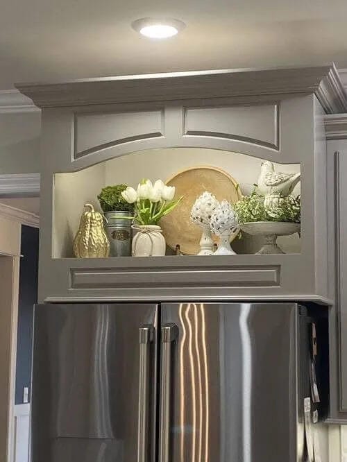 genius over the refrigerator storage ideas