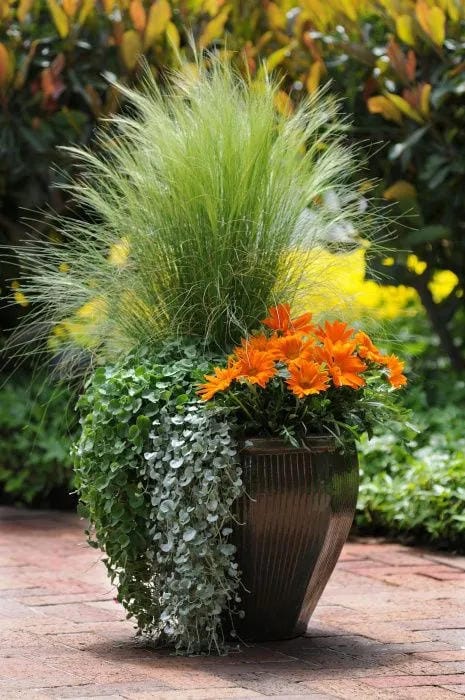tall outdoor planter ideas with top a pot with airy grass