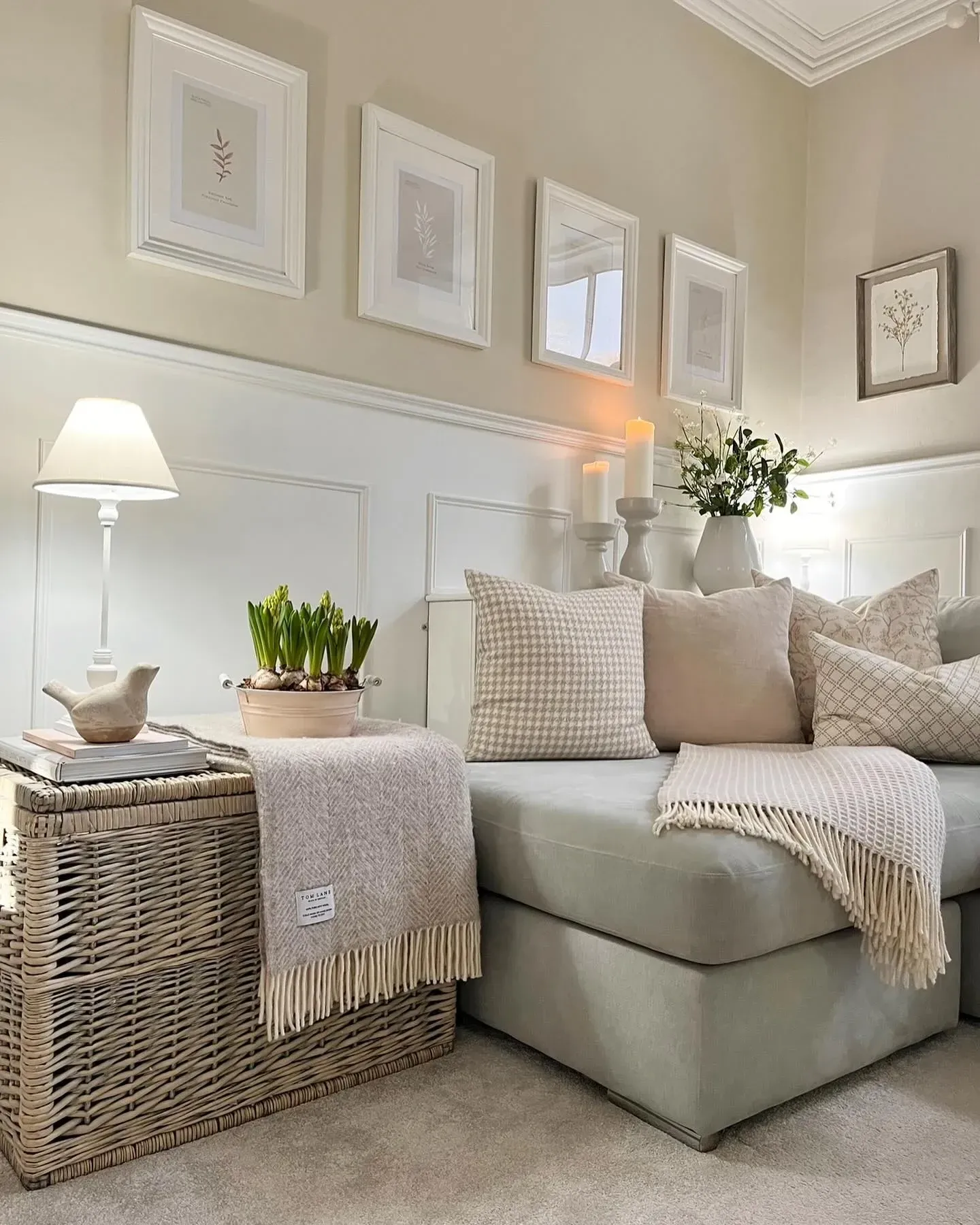 cozy living room ideas