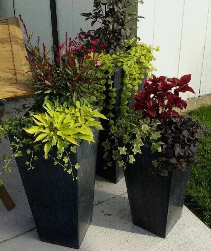tall outdoor planter ideas with group black planters with colorful foliage