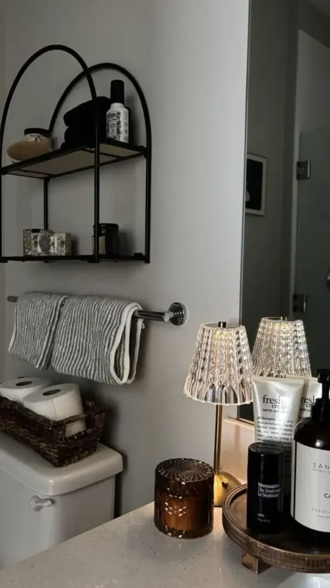 organized clever back of toilet ideas