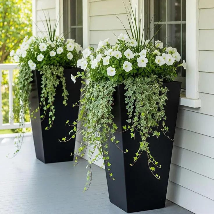 front porch planters with tall black pots white flowers and trailing greenery
