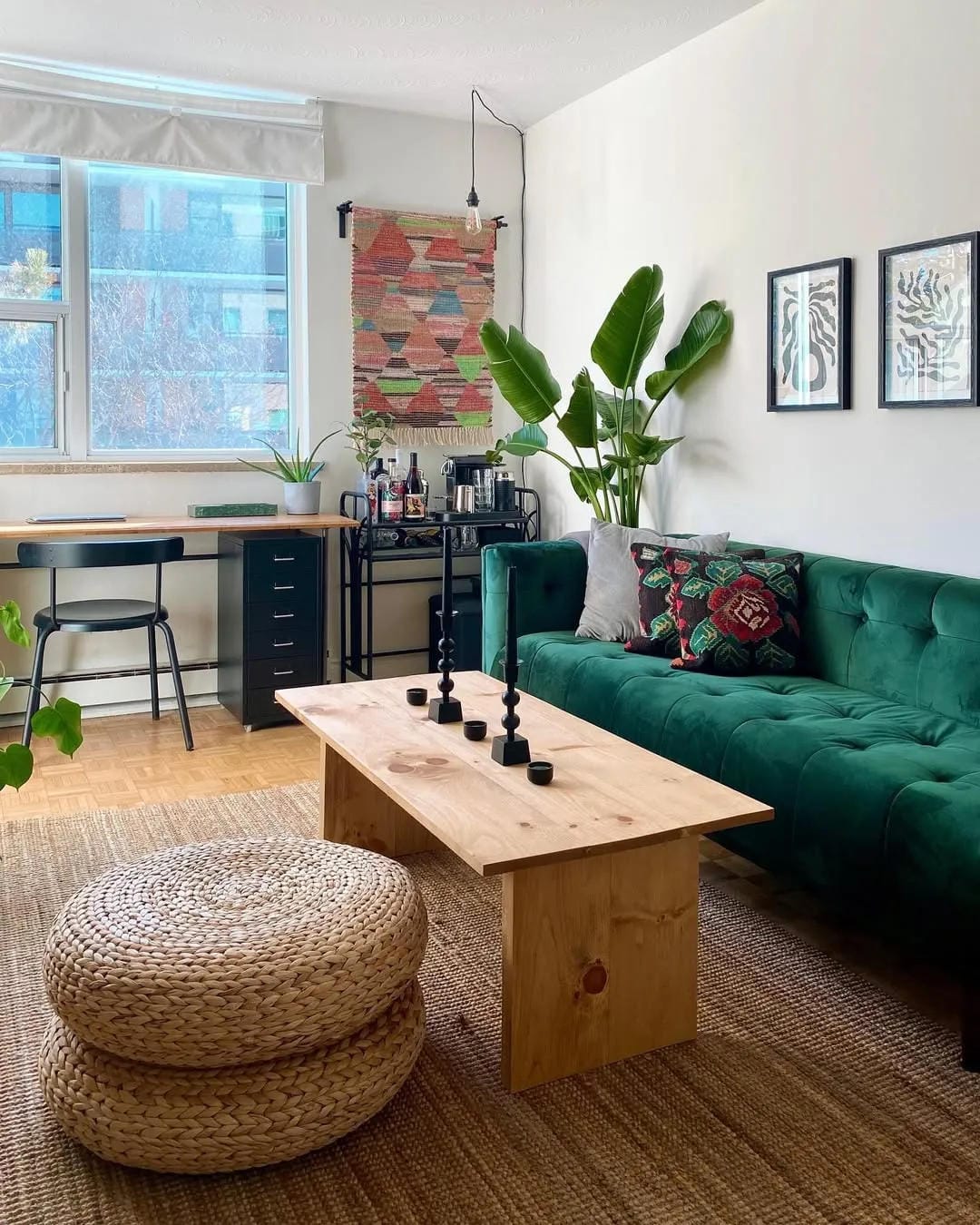 organized first apartment living room ideas