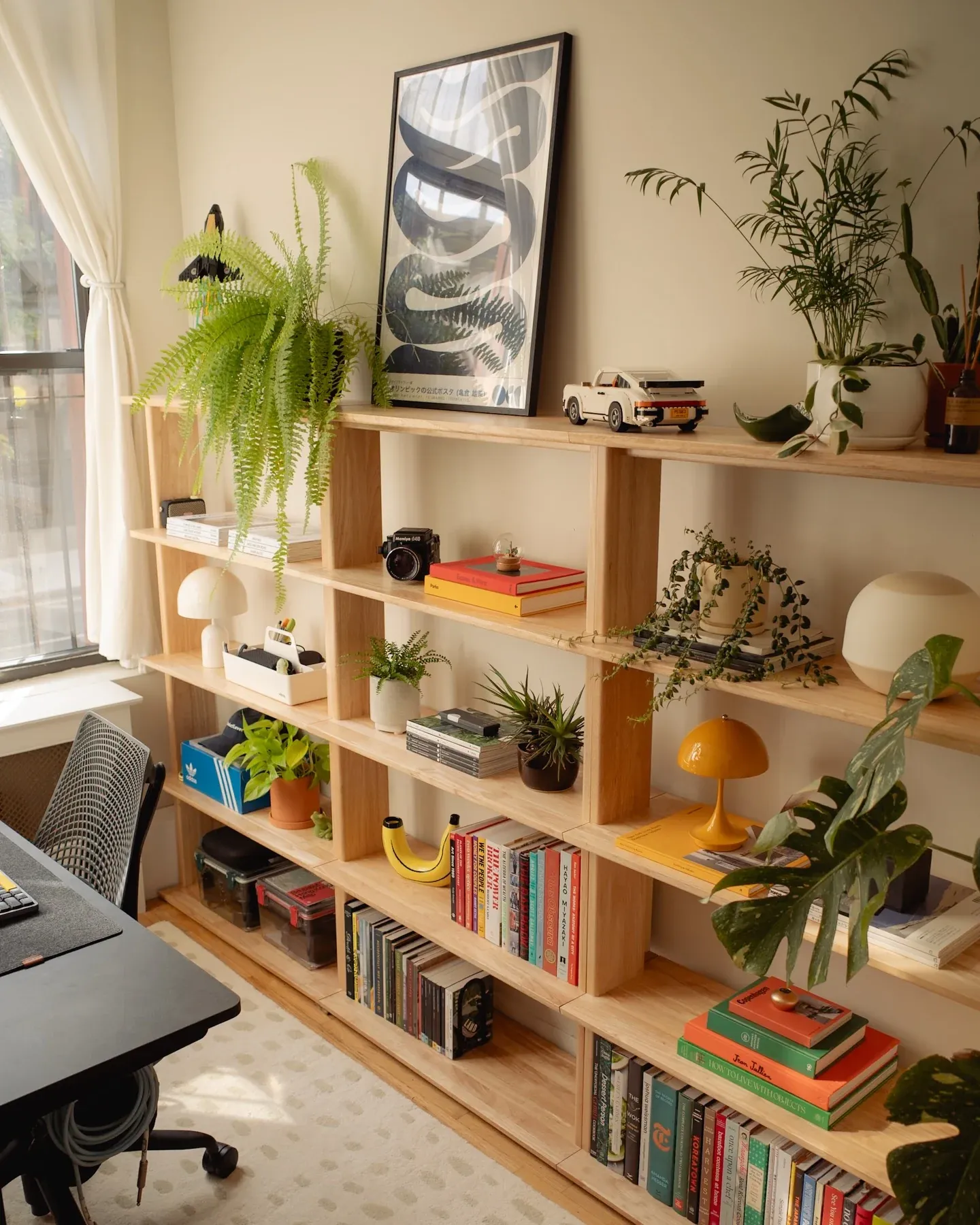 organized bookshelf ideas
