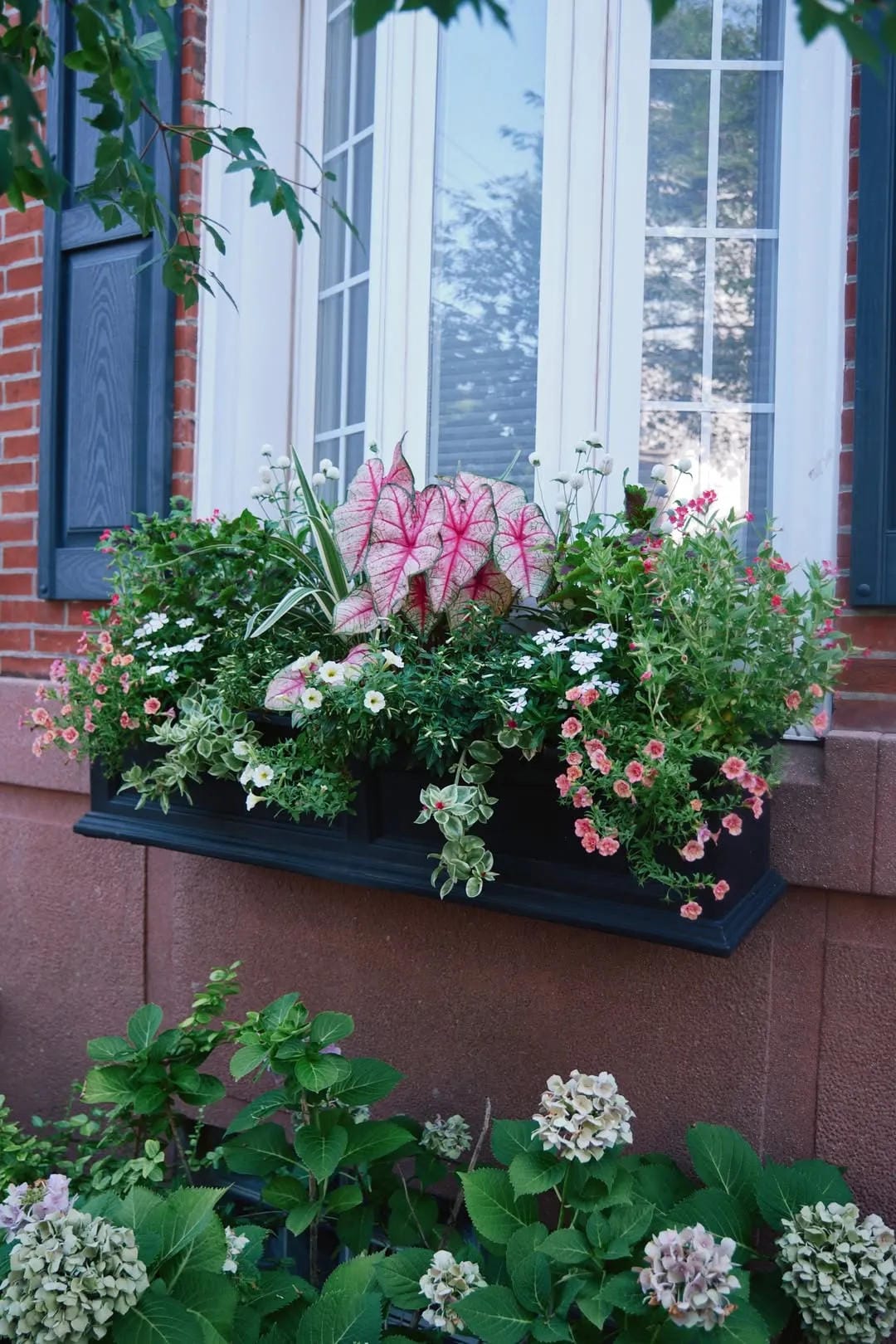 window box flower ideas with add pink flowers to a brick wall