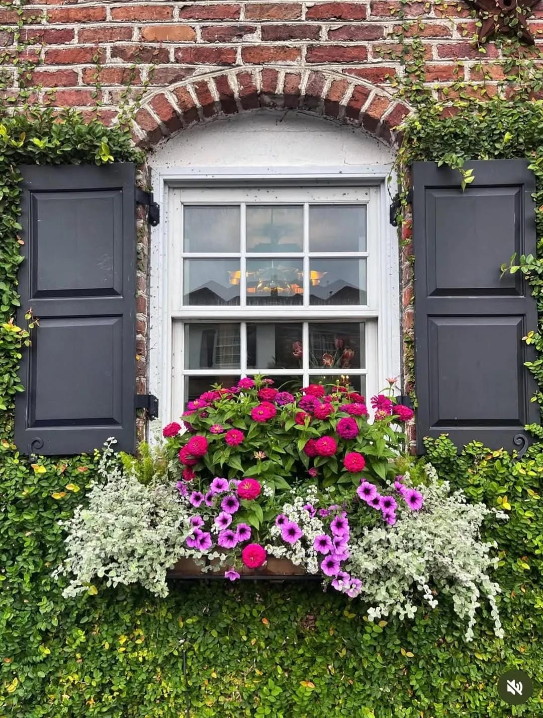window box flower ideas with add a bright box below dark shutters