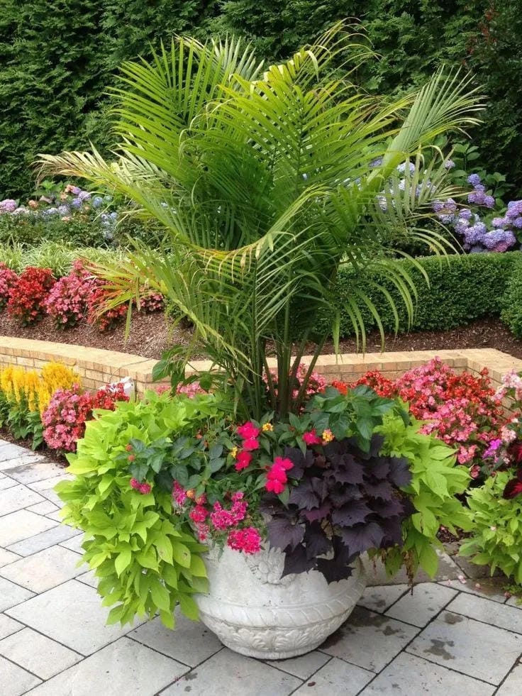 tall outdoor planter ideas with mix palm fronds with bright flowers