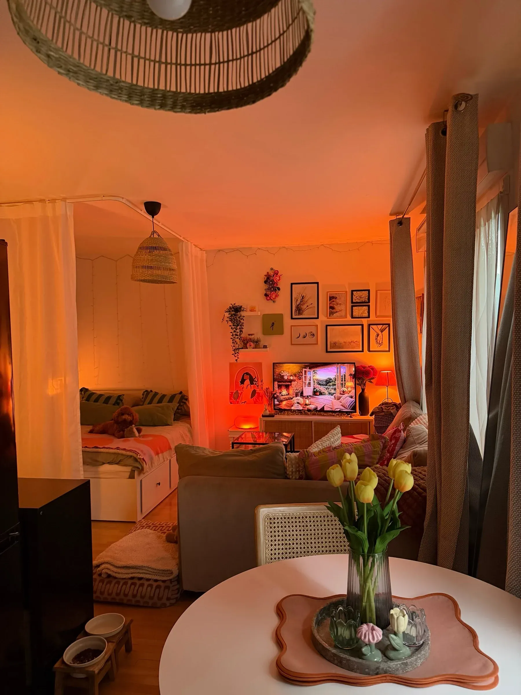 small studio apartment ideas