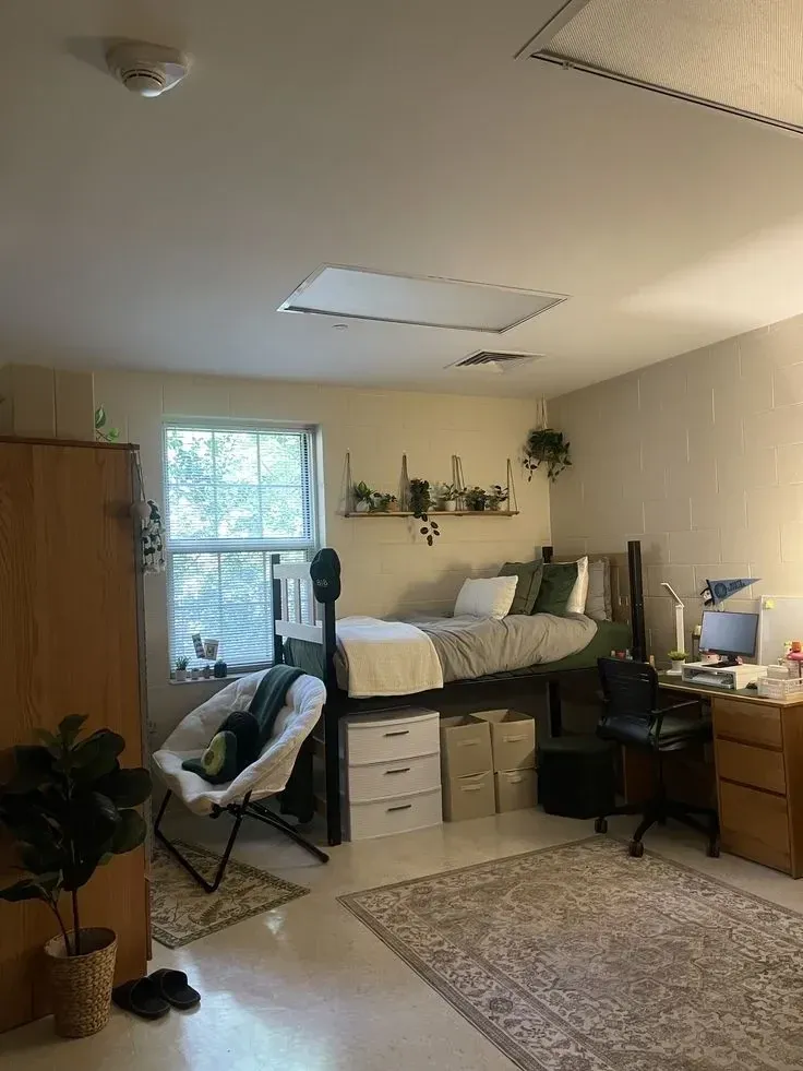 dorm decorating ideas for guys with desk lamp, plants, simple bedding, rug, and warm dorm lighting