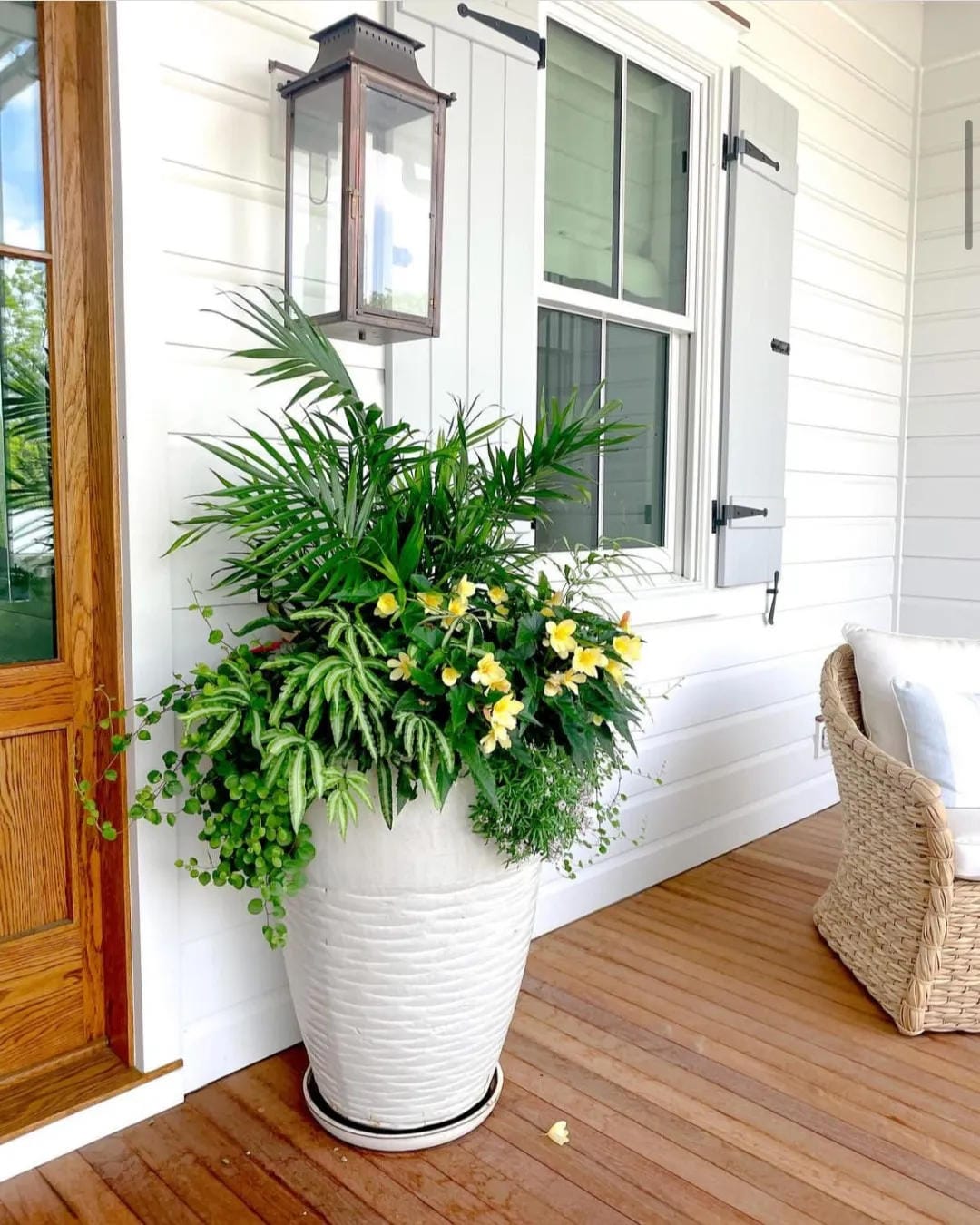tall outdoor planter ideas with use a ribbed white planter by the door