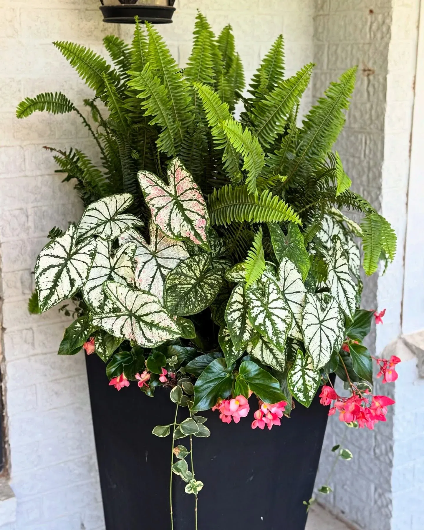 sunny summer porch planter ideas