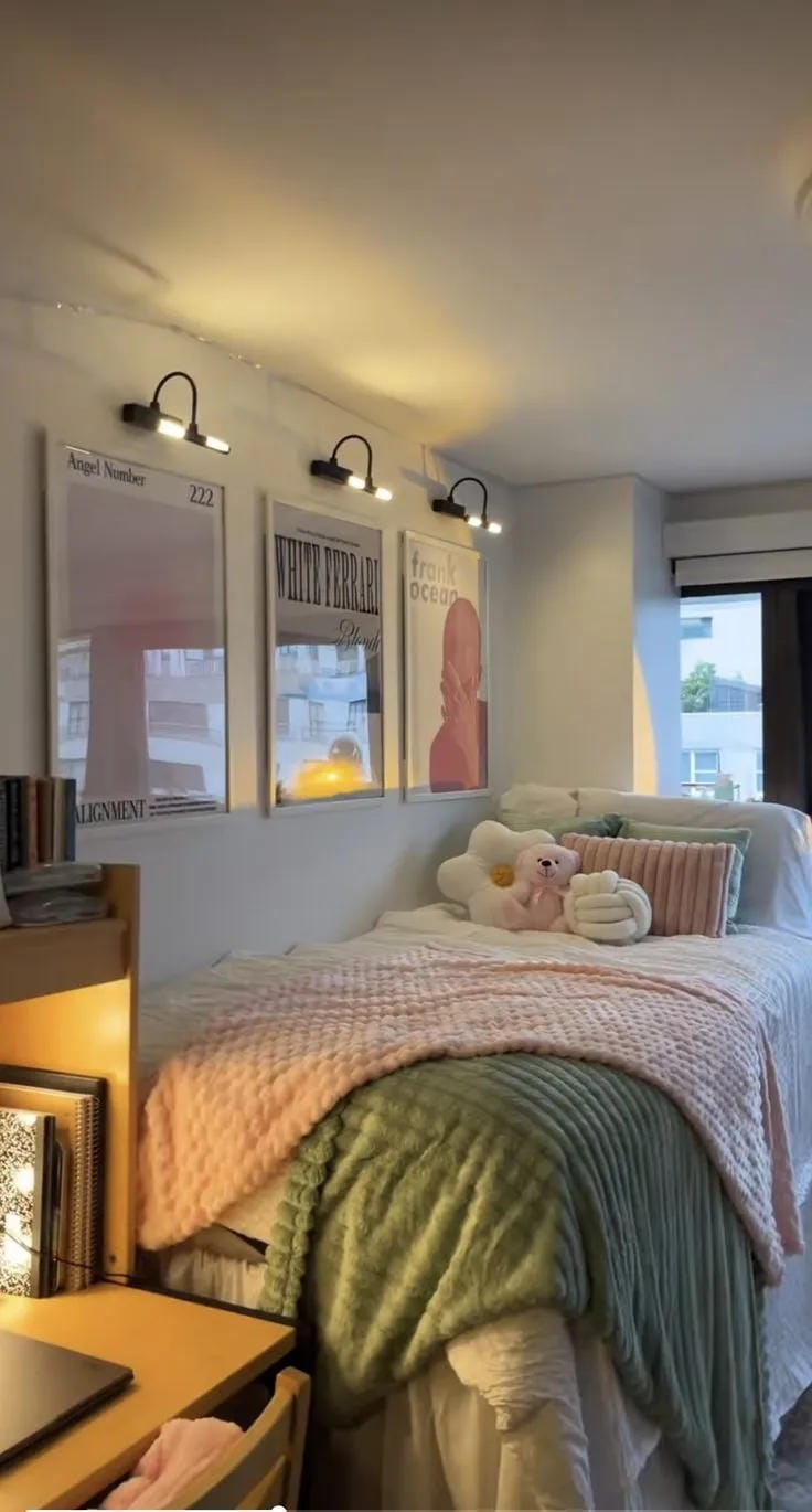 cozy dorm room storage ideas