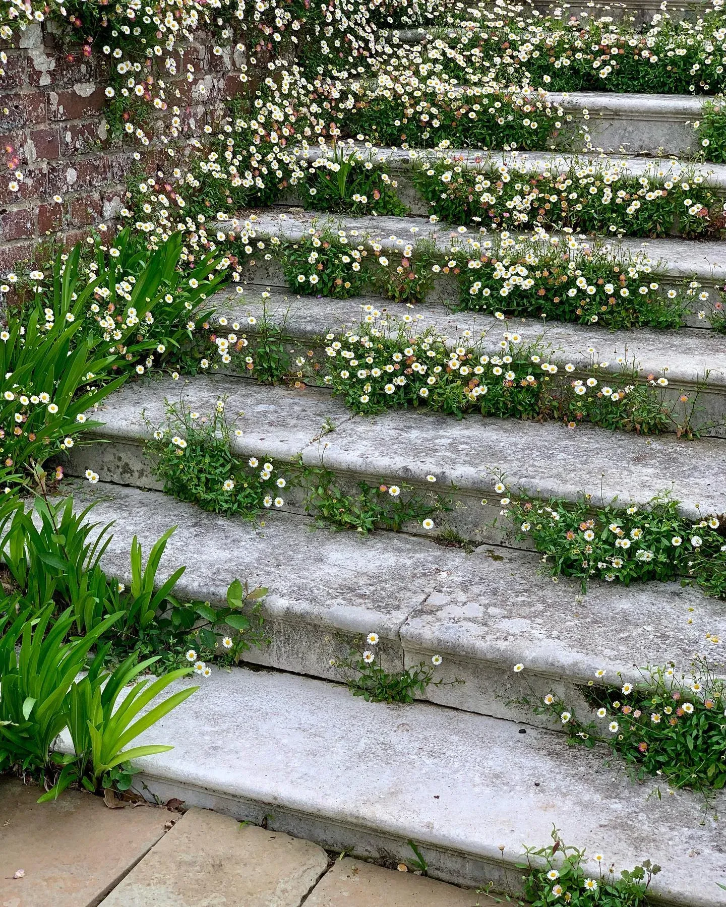 cottage whimsical garden ideas