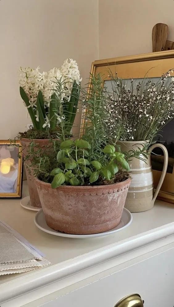 kitchen counter decor ideas with fresh herb planter and small framed art