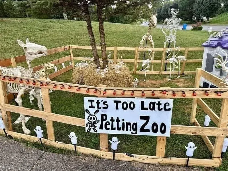 yard halloween yard ideas