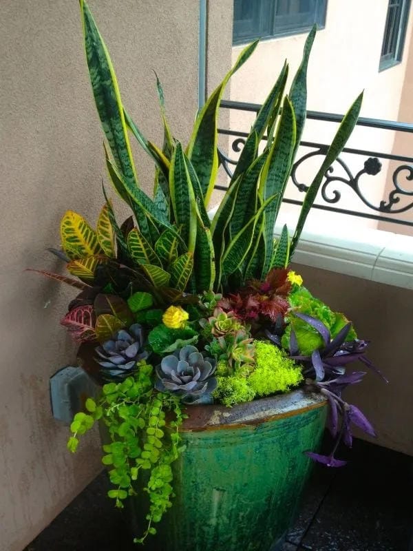 tall outdoor planter ideas with plant a green glazed pot