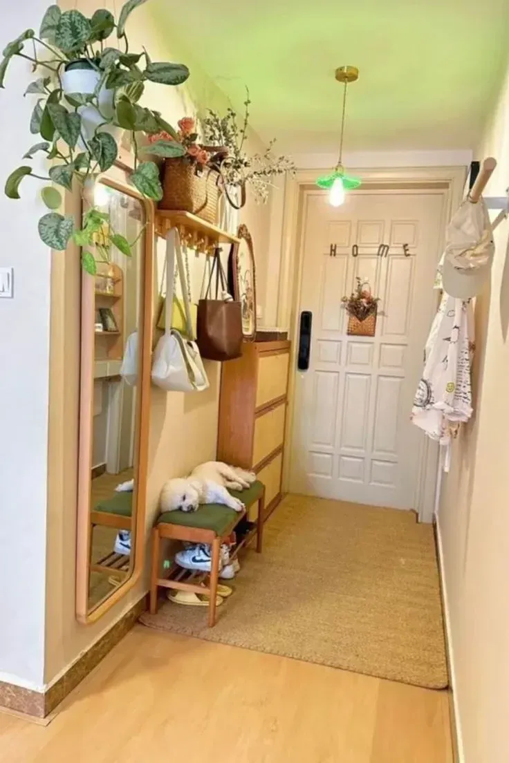 organized entryway organization ideas for small spaces