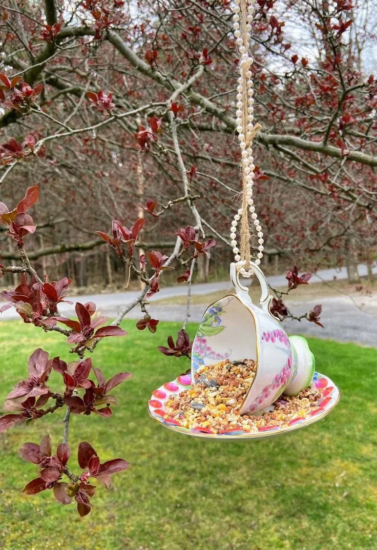 DIY bird bath idea with hanging teacup and saucer from a tree branch