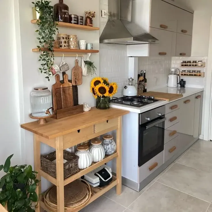 coffee kitchen counter organization ideas