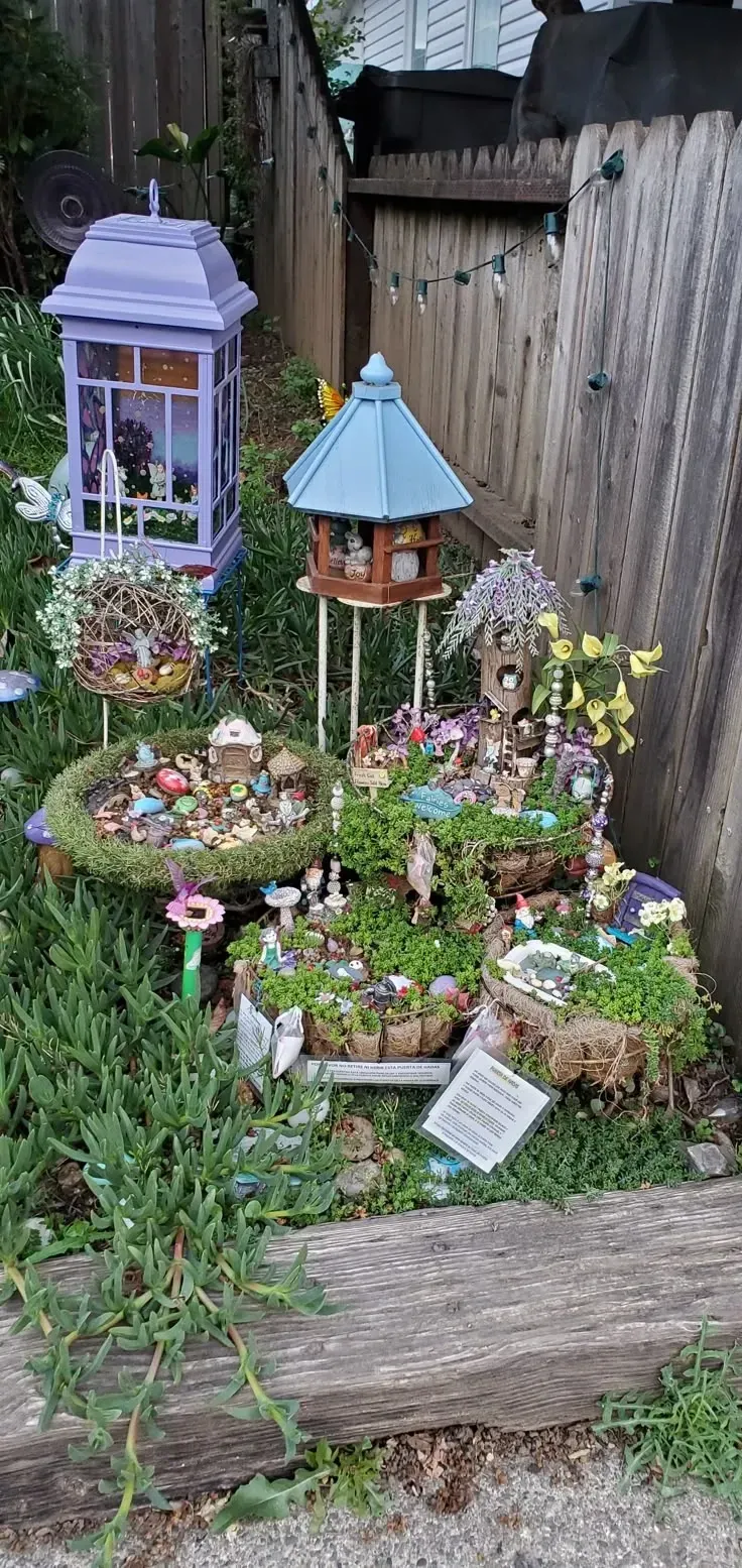 woodland fairy garden ideas