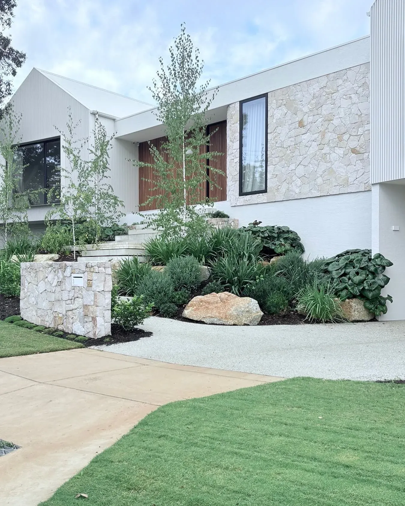 plants driveway landscape ideas