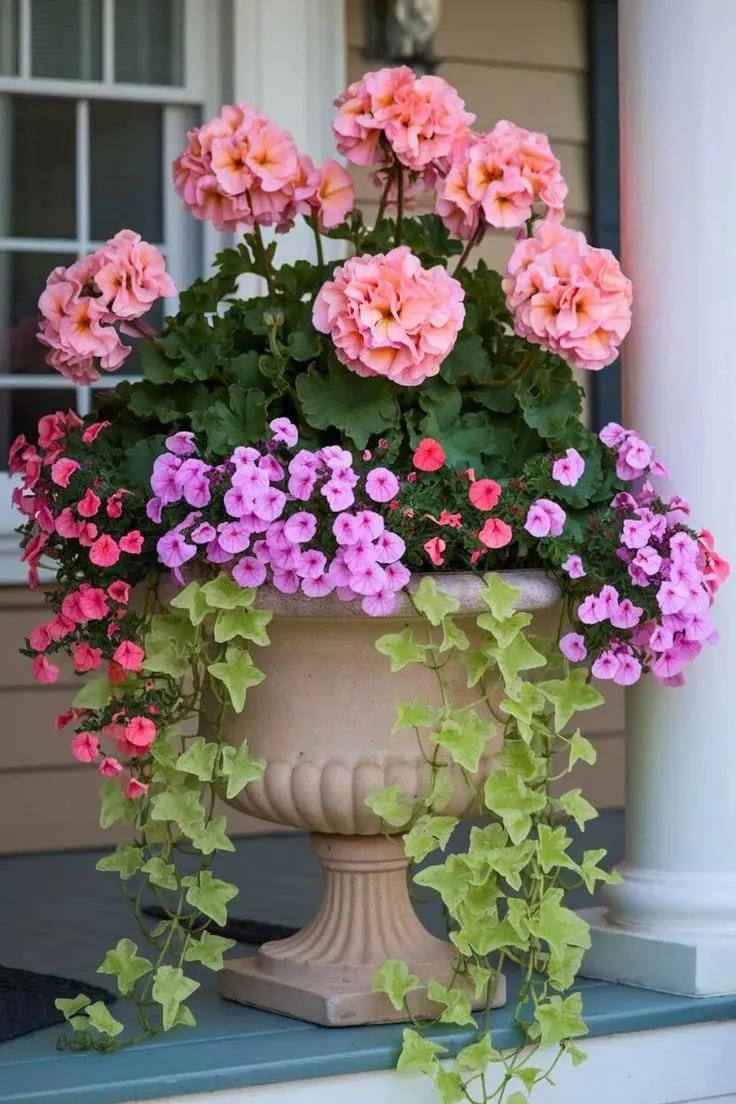 small front porch ideas with overflowing flower pot pink blooms ivy and porch steps