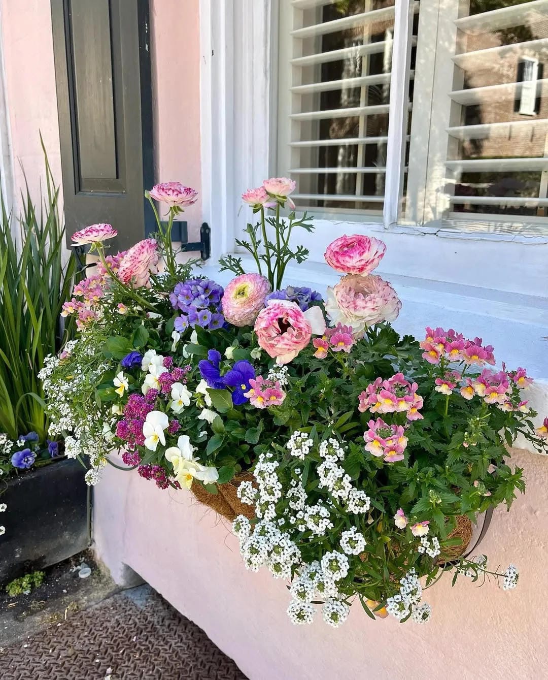 window box flower ideas with use a pale planter for cottage flowers