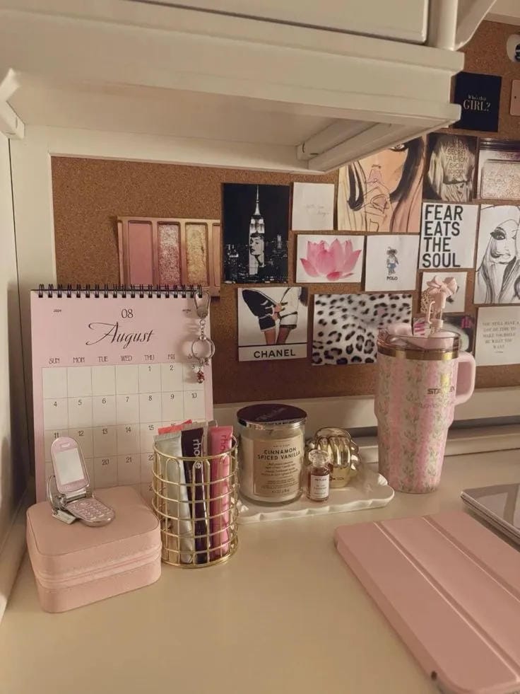 neutral dorm room storage ideas