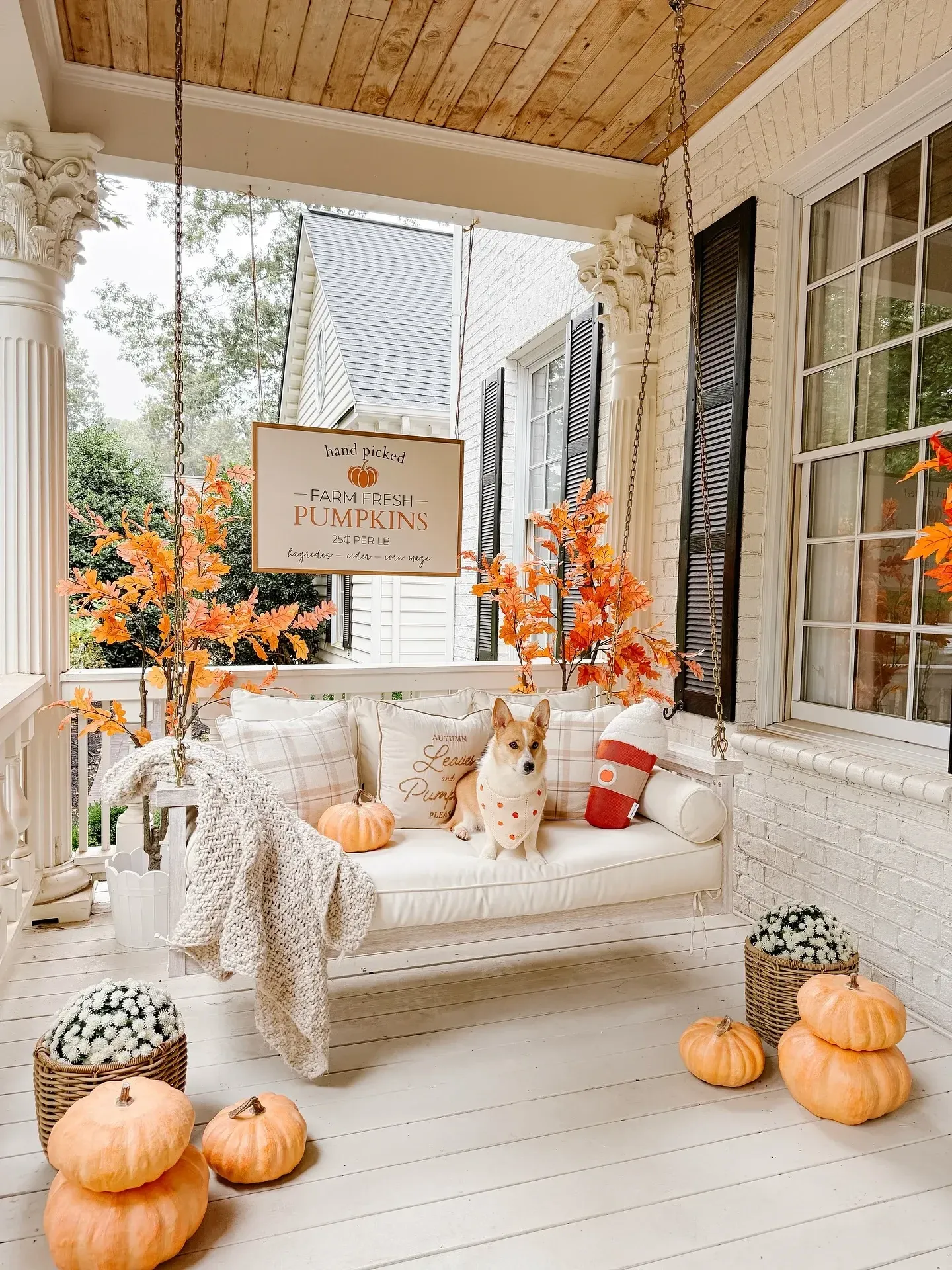 fall porch decor ideas with a cute farm fresh pumpkins sign, orange fall stems, pumpkins, white mums, cozy blanket, and seasonal pillows