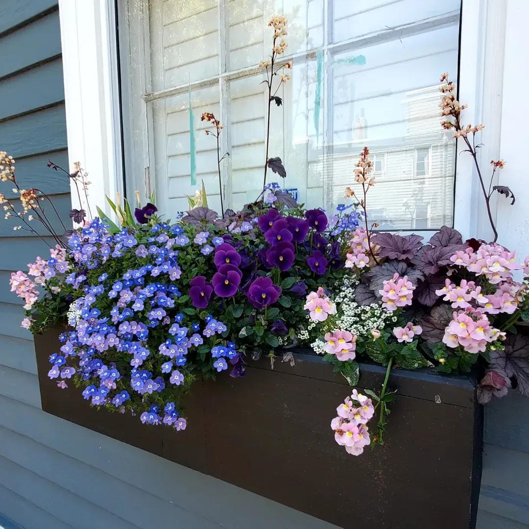window box flower ideas with layer purple and pink in a dark box