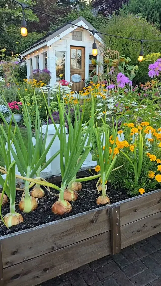 corrugated metal raised garden bed ideas