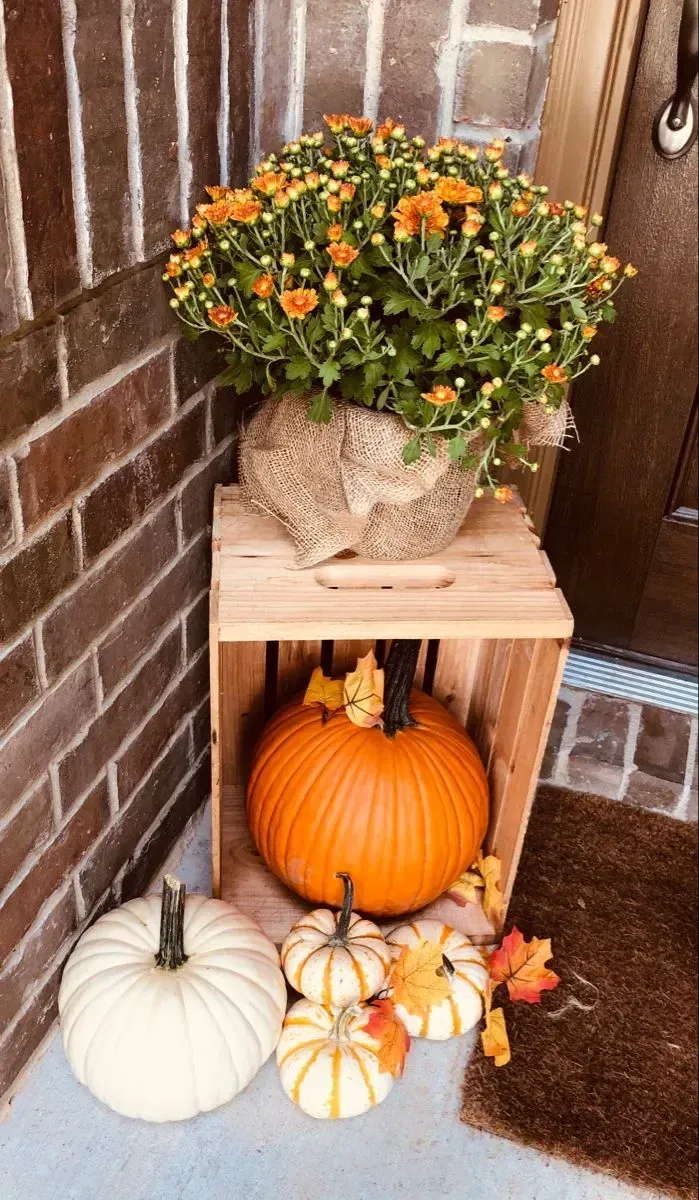 mini pumpkins fall planter ideas