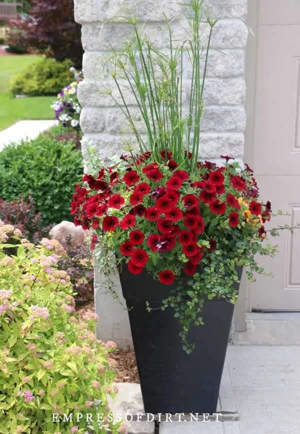 tall outdoor planter ideas with add red flowers under tall grass
