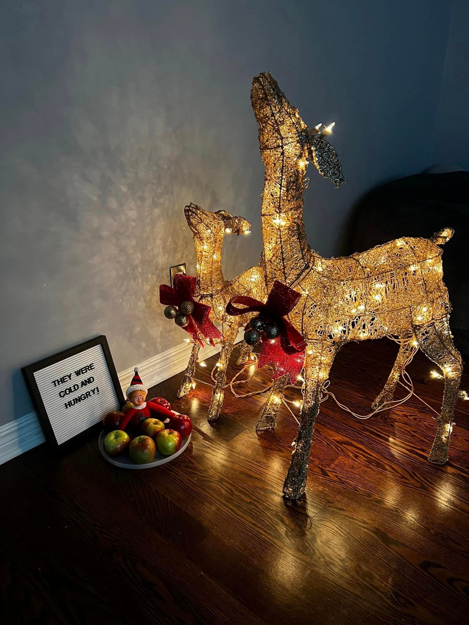 Epic Elf On The Shelf Ideas Hilarious