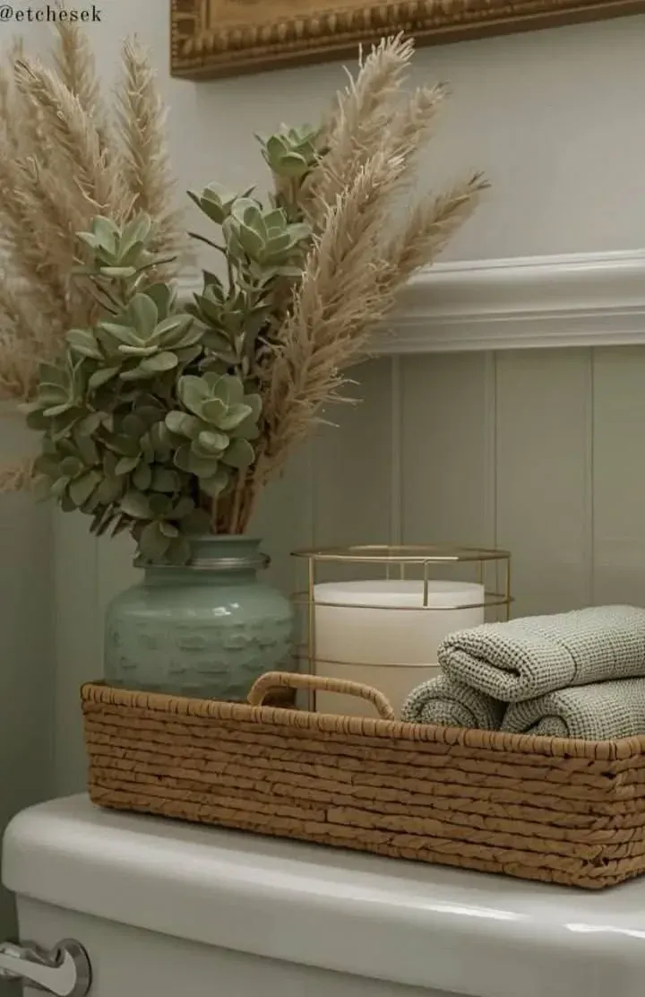 neutral clever back of toilet ideas
