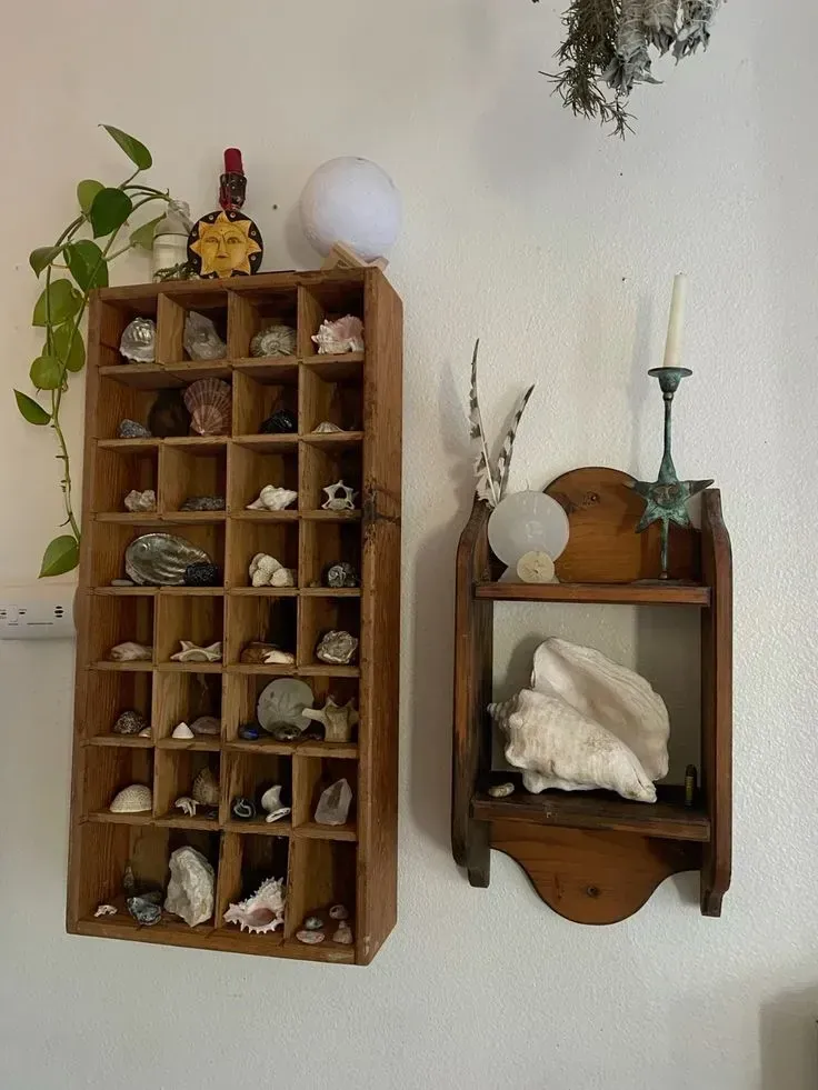 seashell display trinket shelf ideas