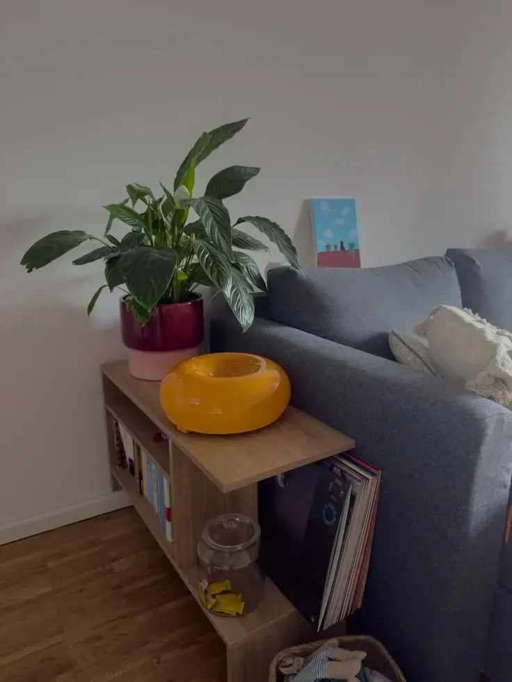 aesthetic sofa table decor ideas