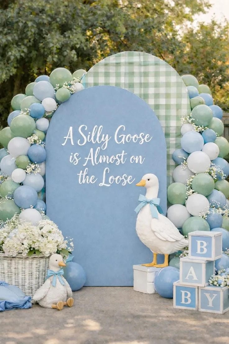 silly goose boy baby shower backdrop