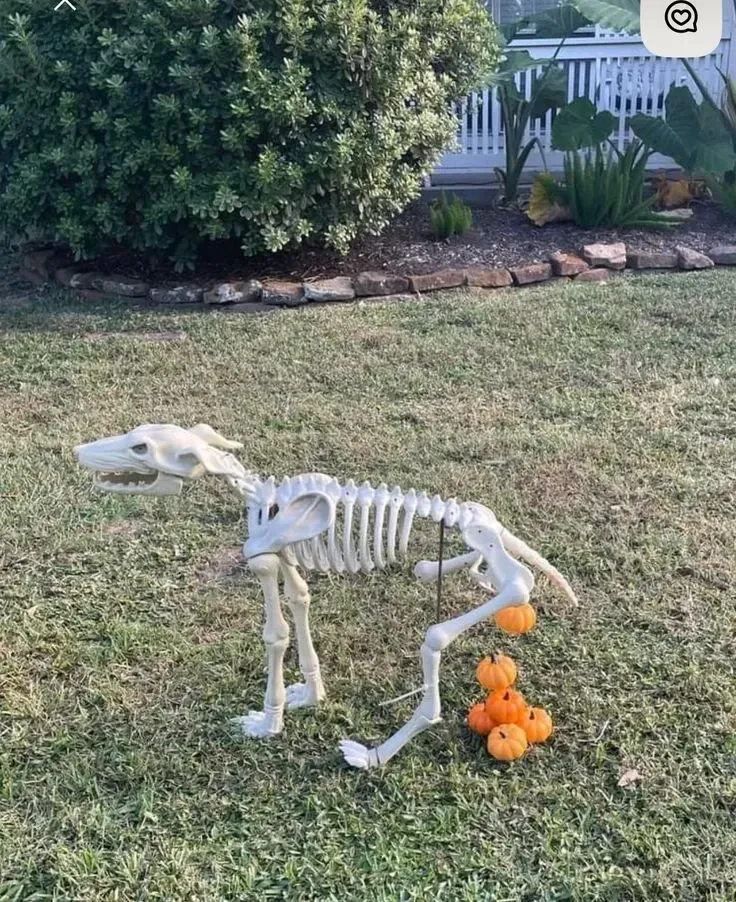 funny outdoor halloween decorations