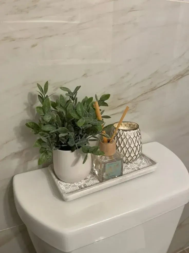 clever clever back of toilet ideas