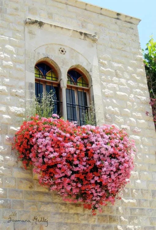 window box flower ideas with go bold with a pink trailing box