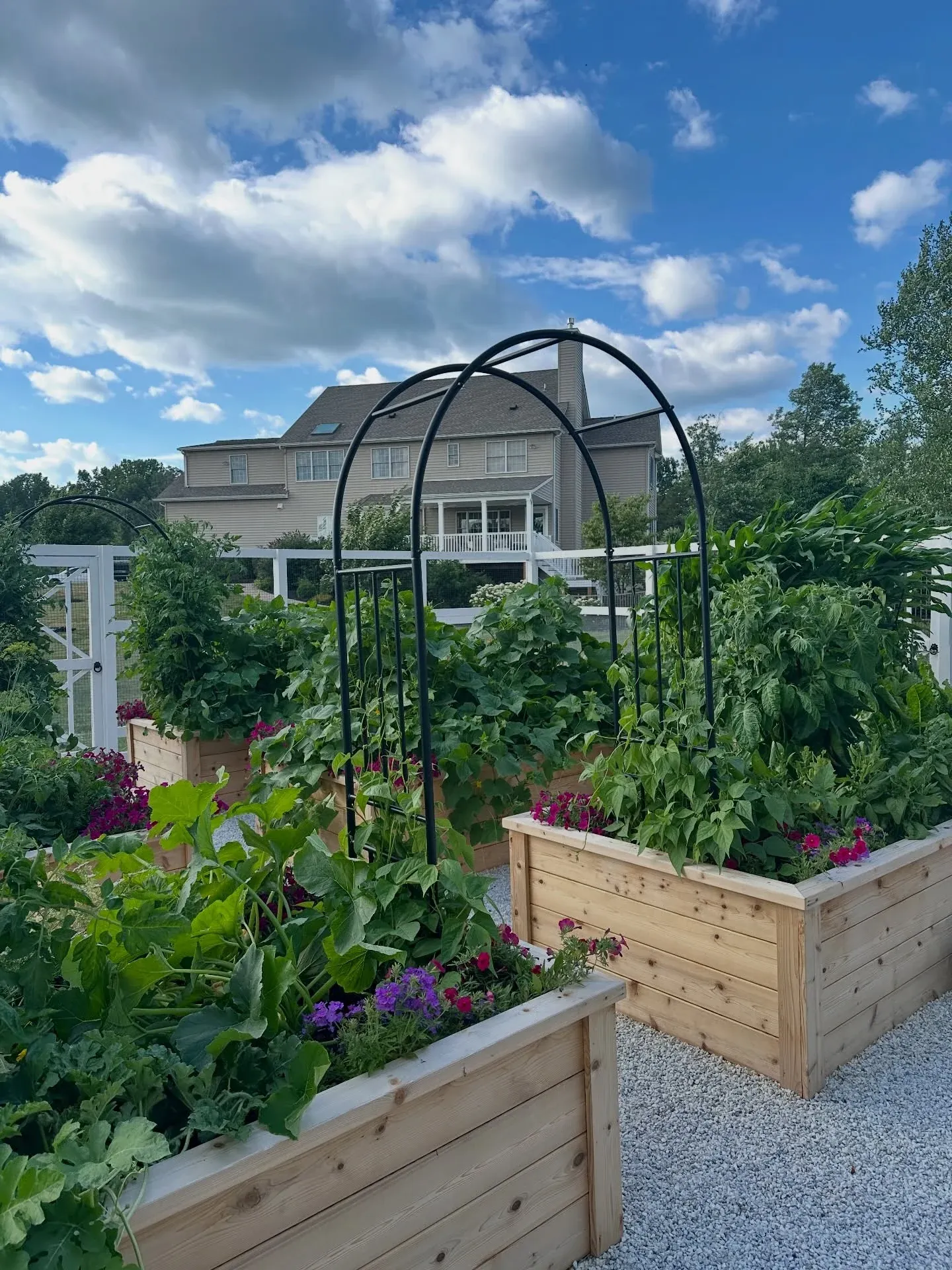 vegetable garden raised garden bed ideas
