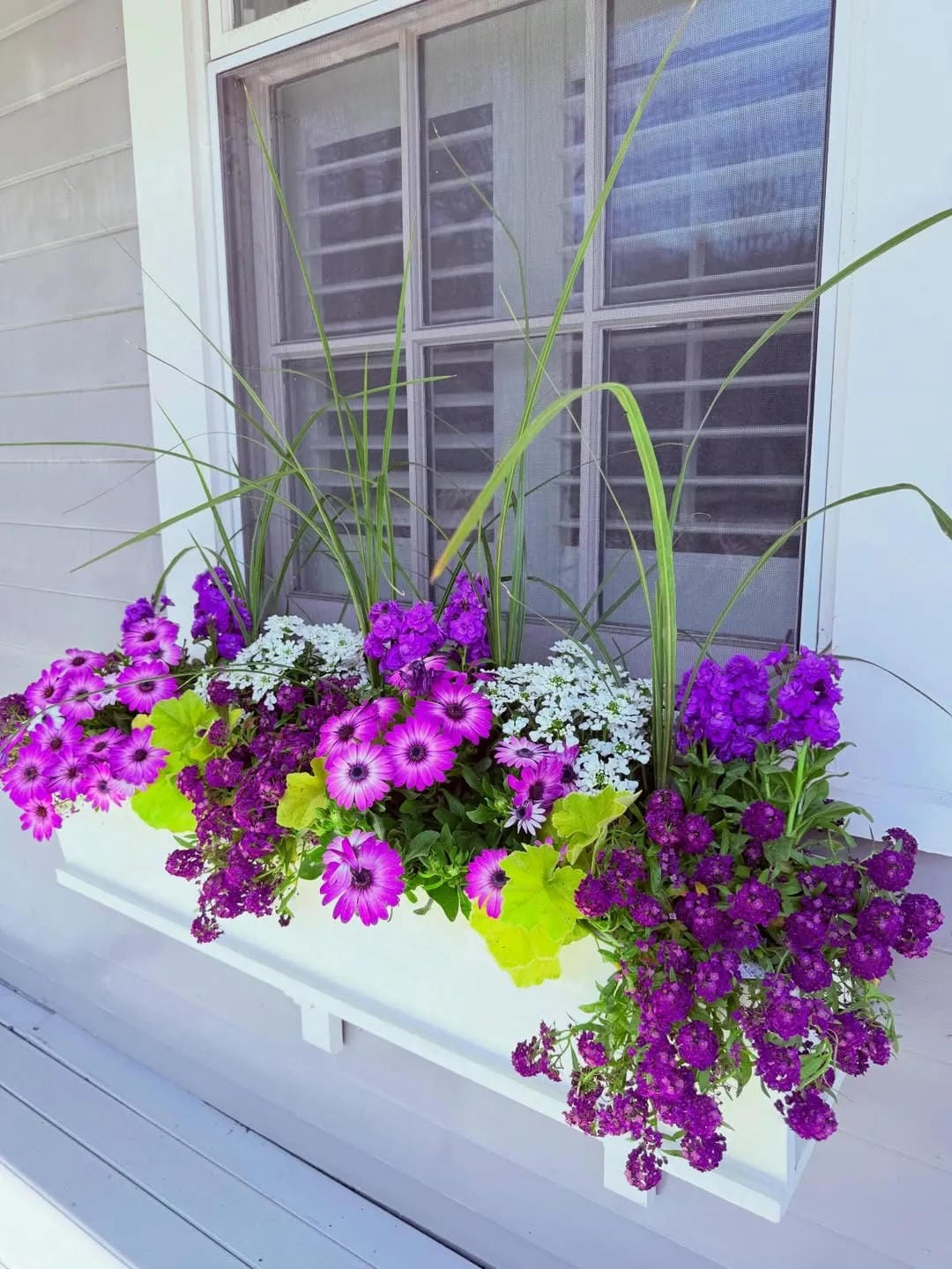 window box flower ideas with brighten a white box with purple blooms