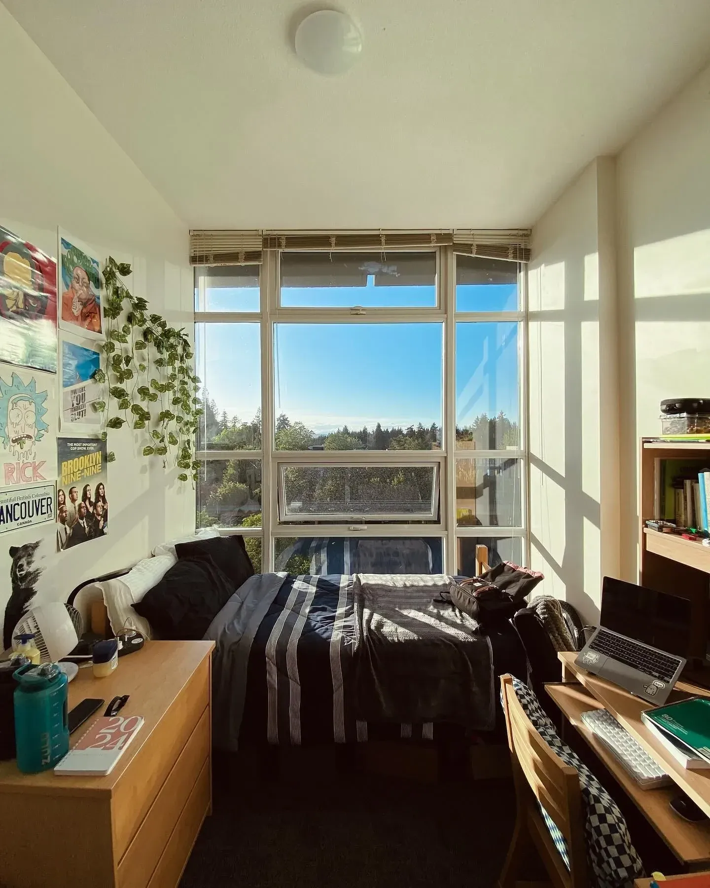 dorm decorating ideas for guys with window wall decor, desk, photos, plants, and dorm bed