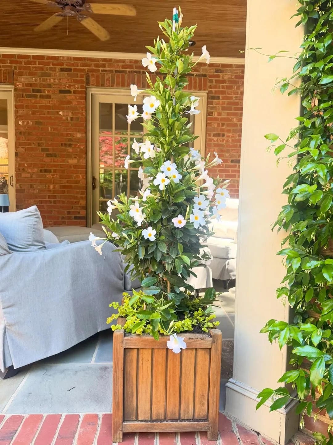 tall outdoor planter ideas with plant a climbing flower in a wood box